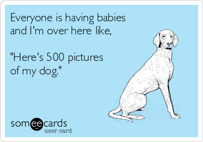 I love my dog someecards