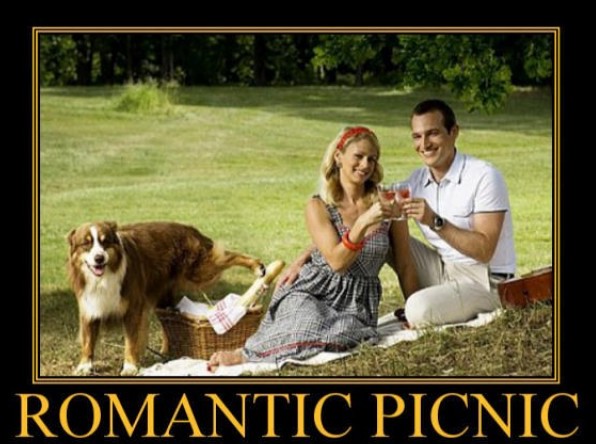 Romantic Picnic