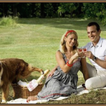 Good picnic featured image